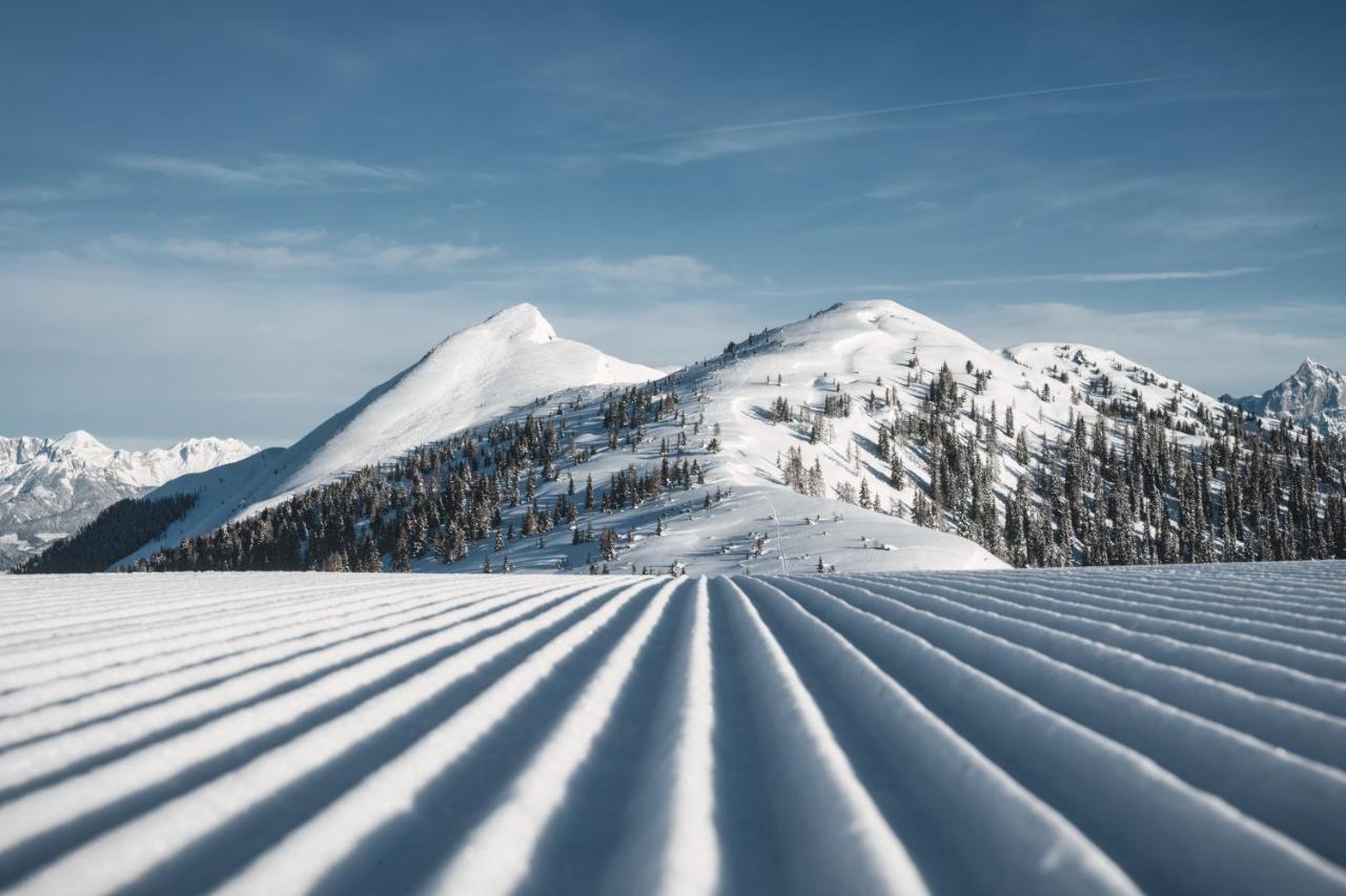 Firstpeak زوشنسي المظهر الخارجي الصورة